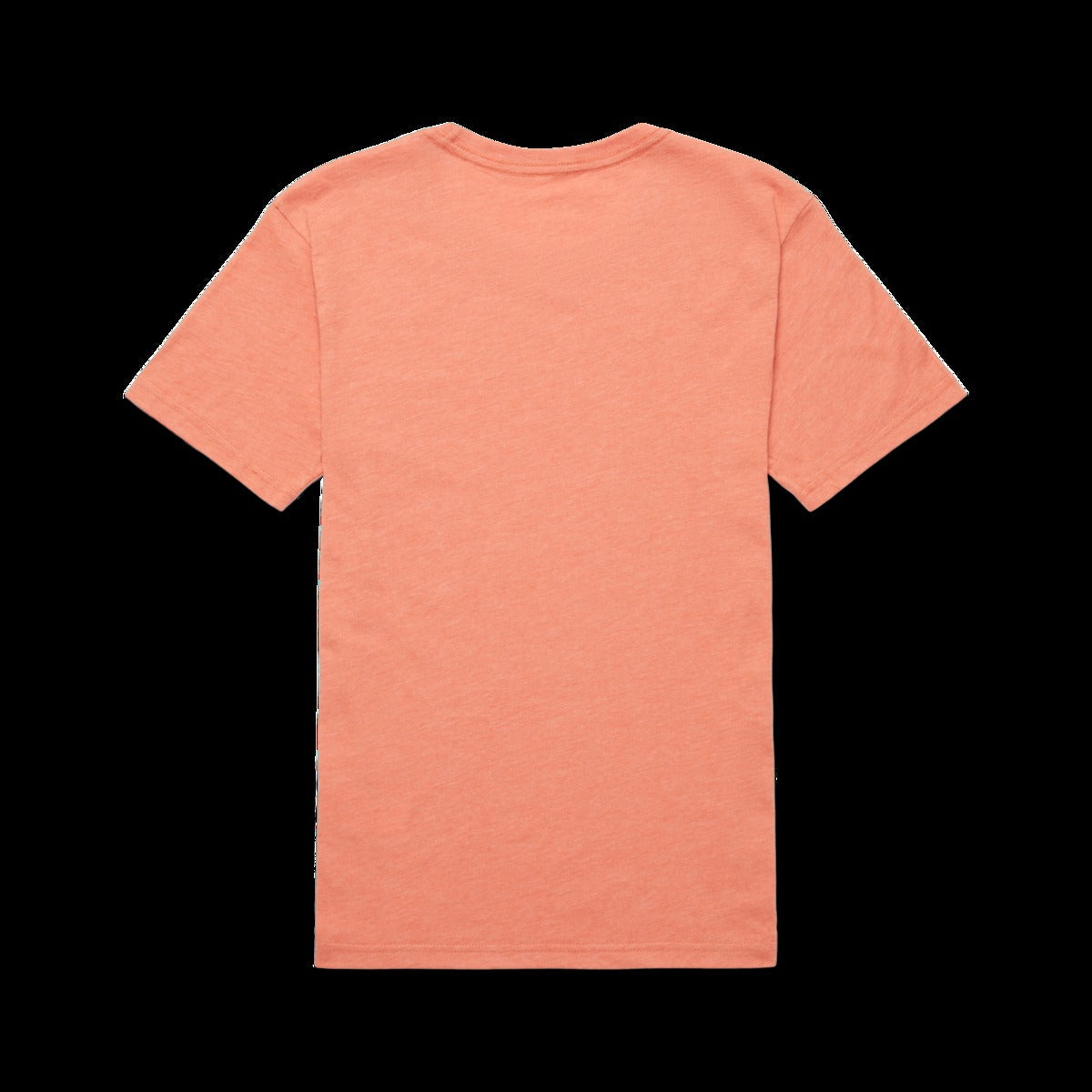 Topo Llama T-Shirt - Women's