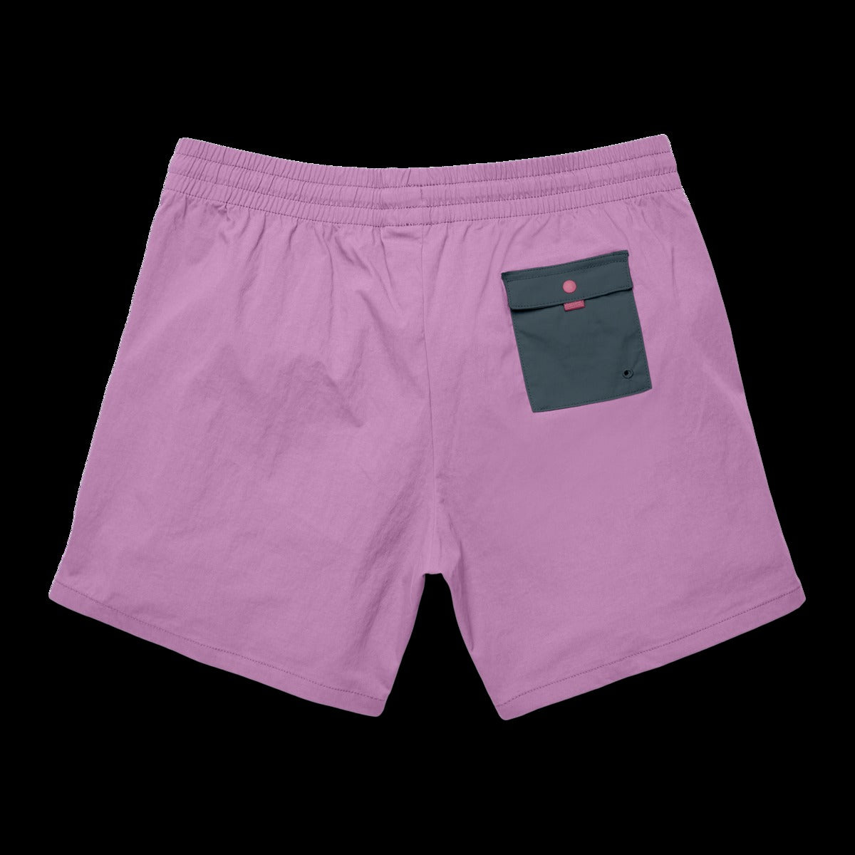 Brinco 5" Short - Solid - Women's