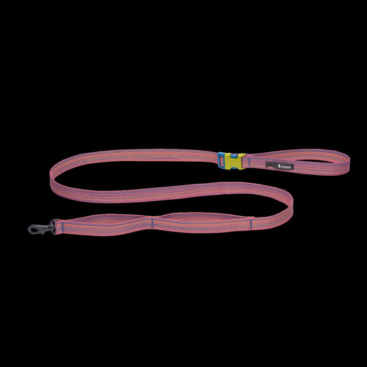 Del Día Dog Leash