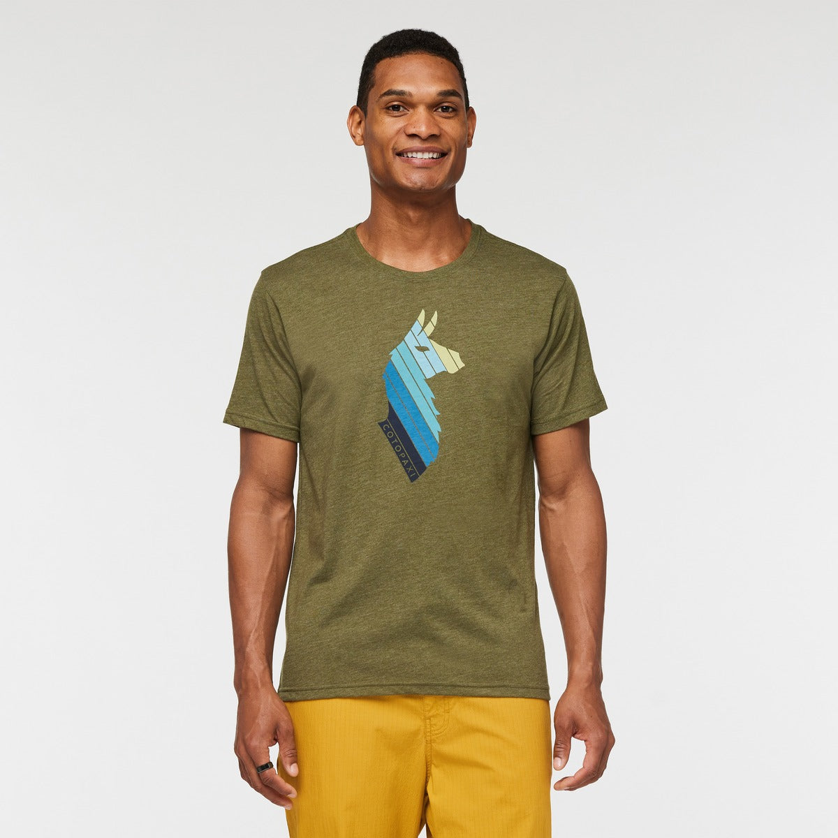Llama Stripes T-Shirt - Men's
