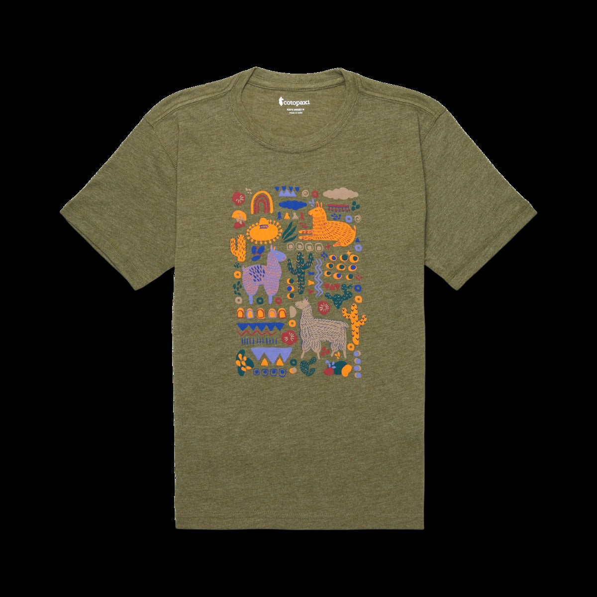 Llama Party T-Shirt - Kids'
