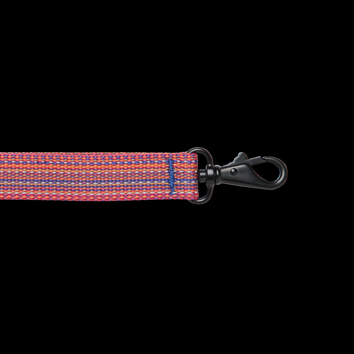 Del Día Dog Leash