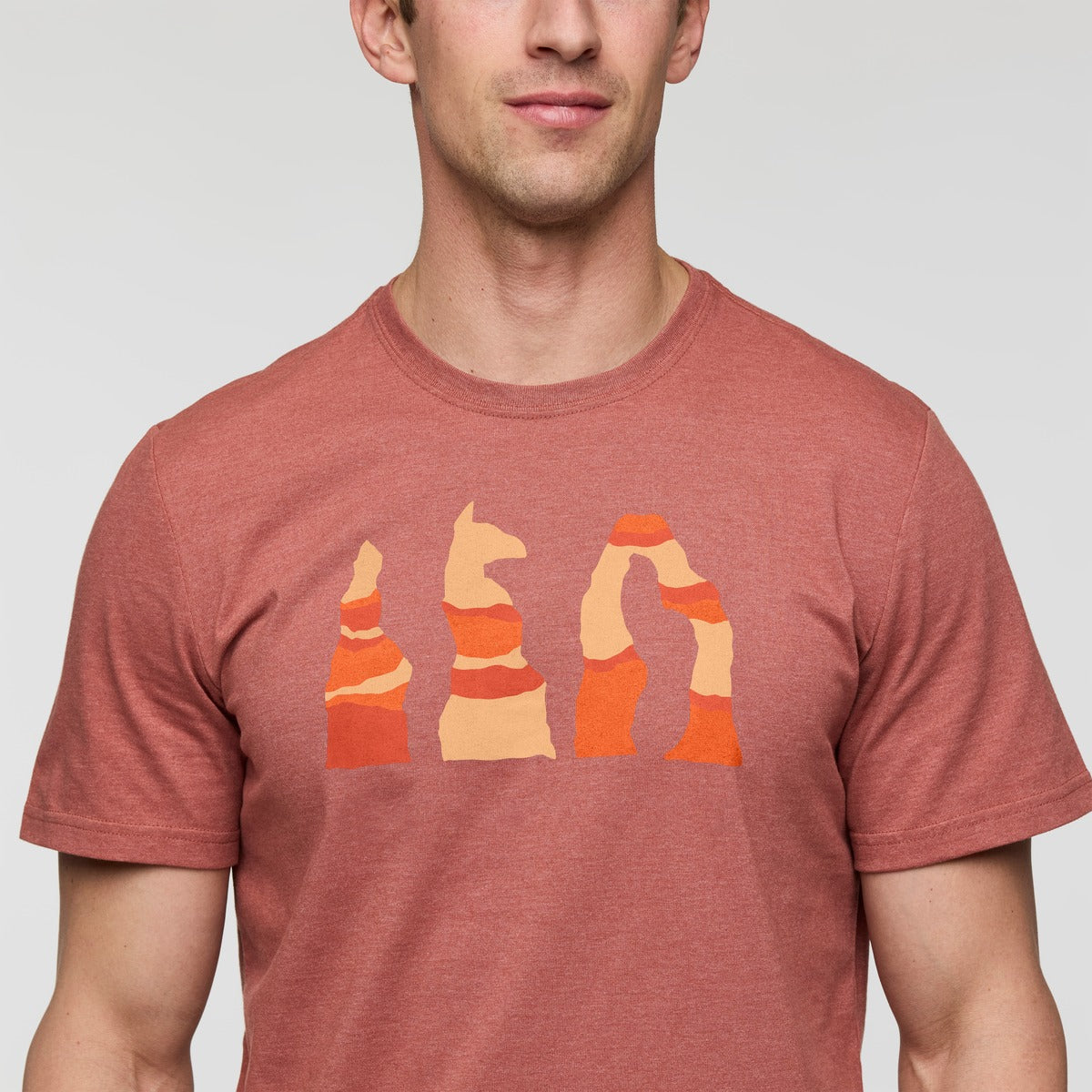 Llama Hoodoo T-Shirt - Men's