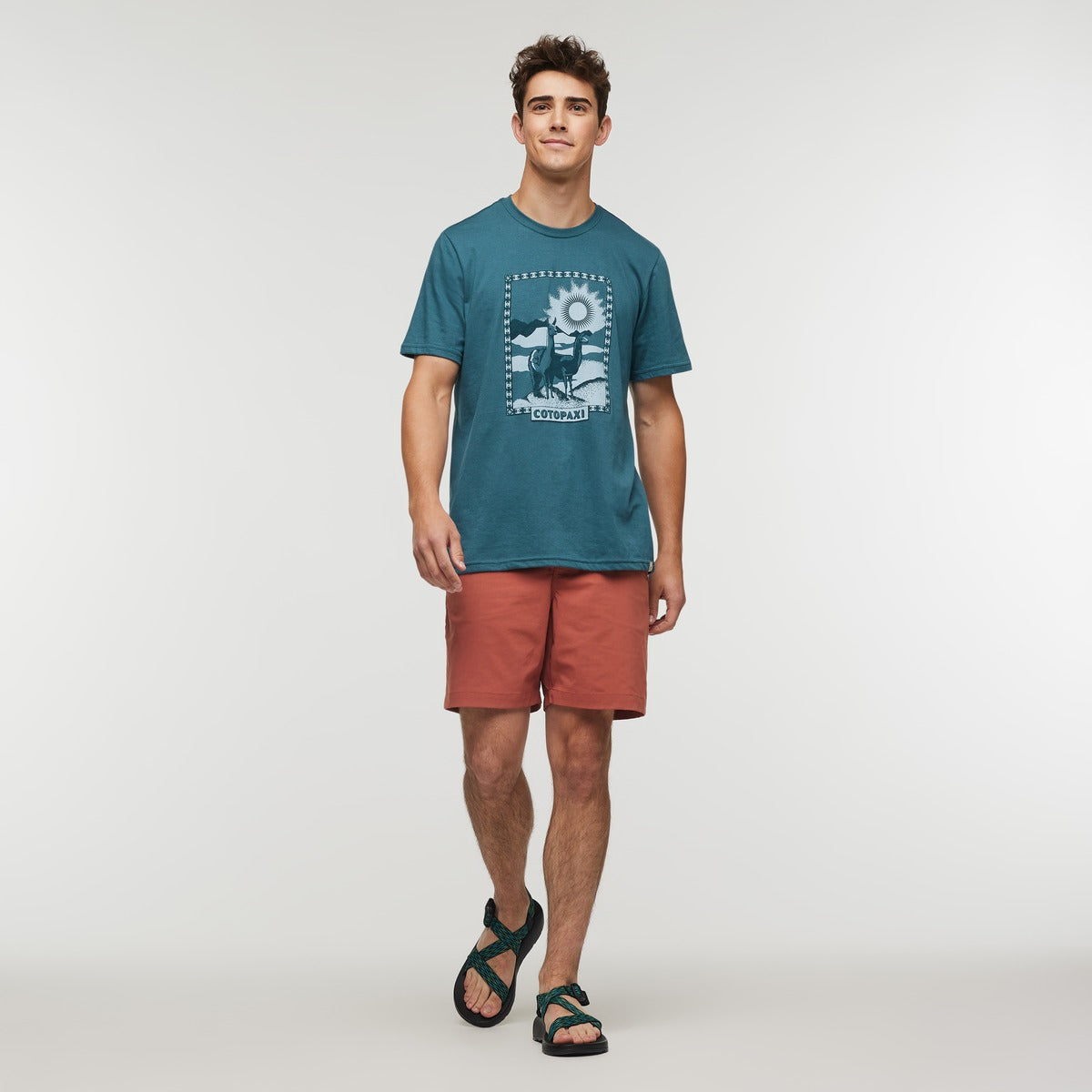 Llama Greetings T-Shirt - Men's