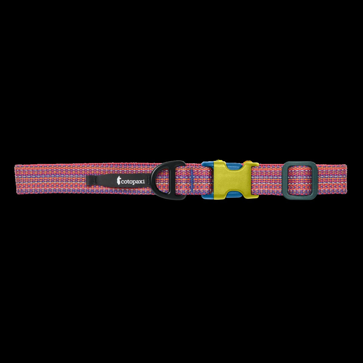 Del Día Dog Collar