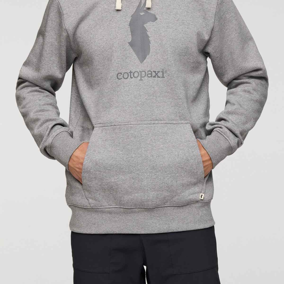 Cotopaxi Llama Pullover Hoodie - Men's
